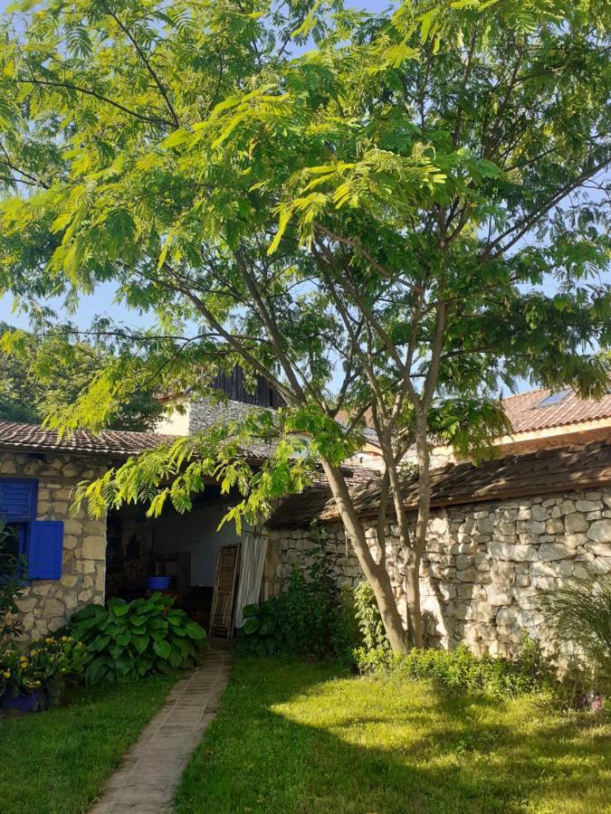 Casa Anca Cheile Nerei Villa Sokolar Dış mekan fotoğraf