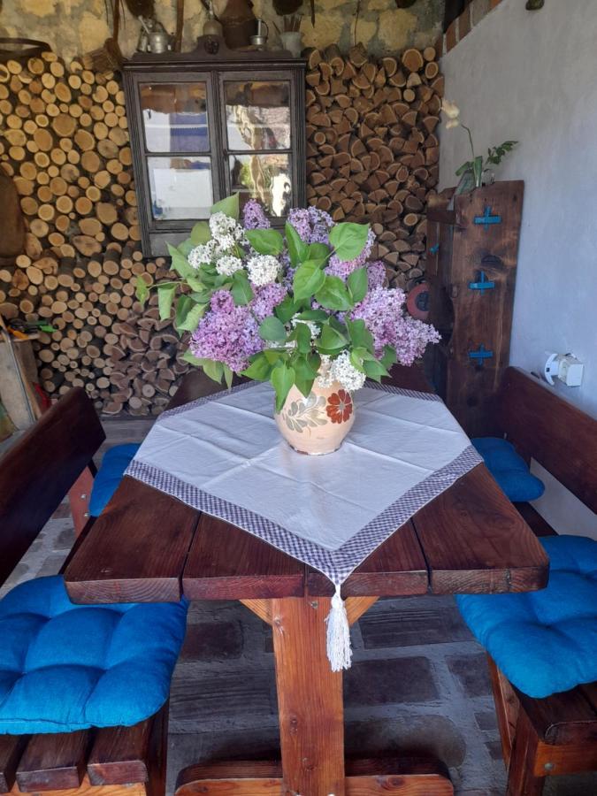 Casa Anca Cheile Nerei Villa Sokolar Dış mekan fotoğraf