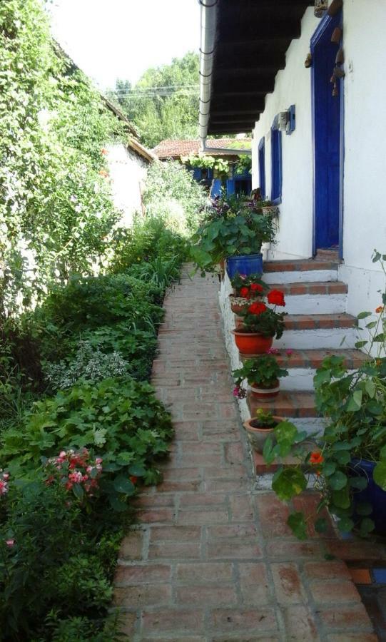 Casa Anca Cheile Nerei Villa Sokolar Dış mekan fotoğraf