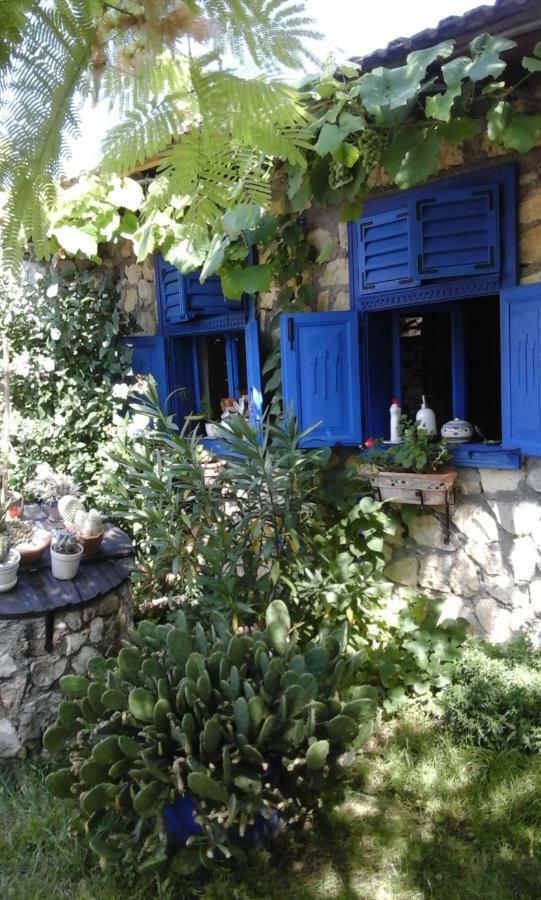 Casa Anca Cheile Nerei Villa Sokolar Dış mekan fotoğraf