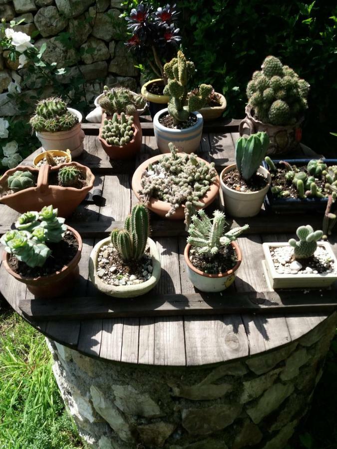 Casa Anca Cheile Nerei Villa Sokolar Dış mekan fotoğraf