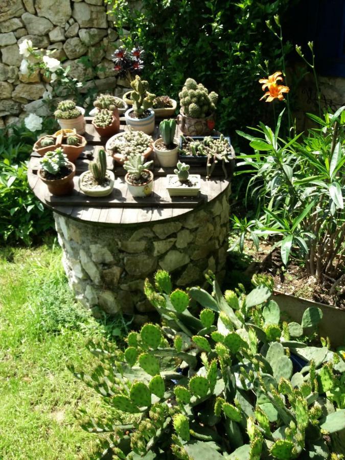 Casa Anca Cheile Nerei Villa Sokolar Dış mekan fotoğraf