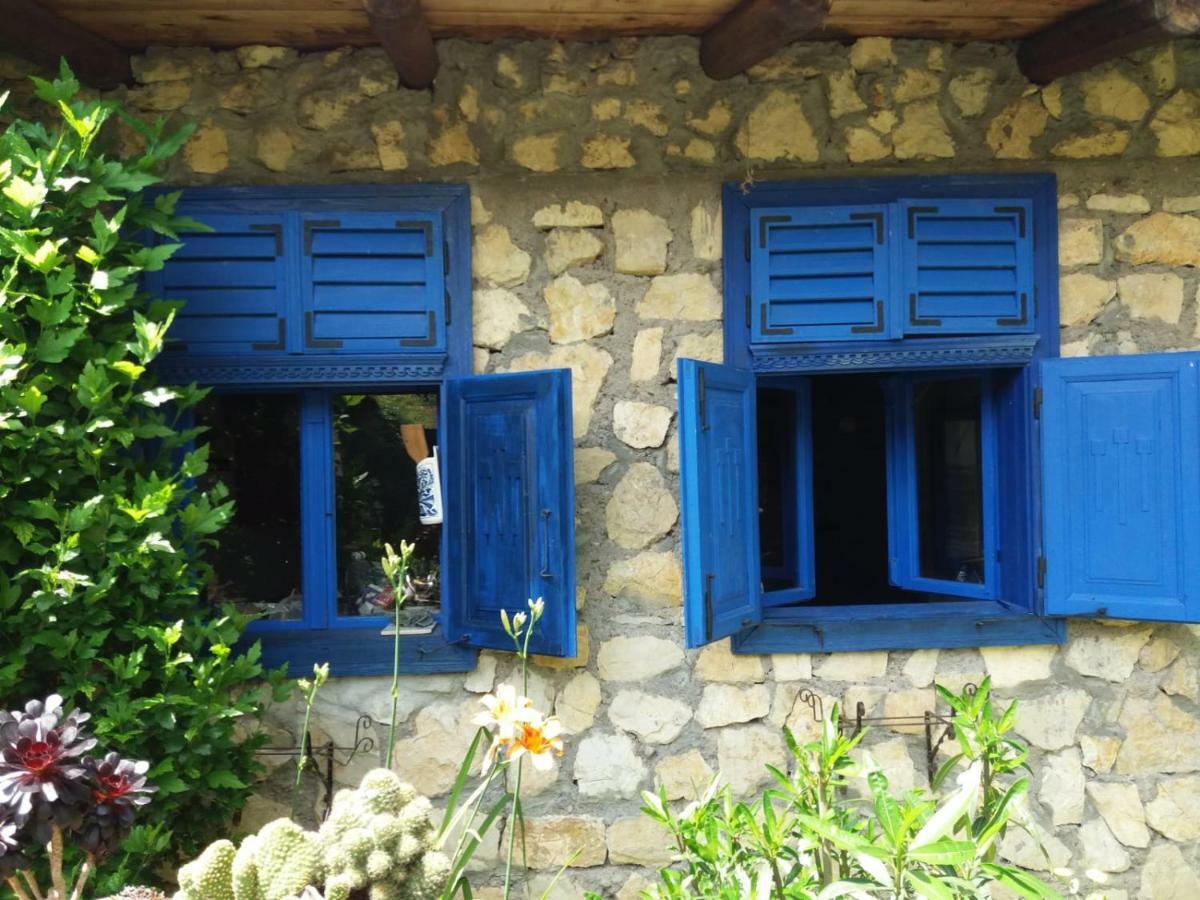 Casa Anca Cheile Nerei Villa Sokolar Dış mekan fotoğraf